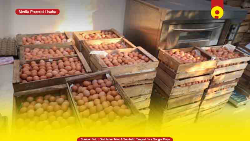 Toko Supplier Agen Telur Ayam di Samarinda Murah