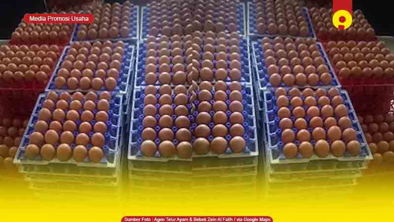 Toko Supplier Agen Telur Ayam di Bontang Murah