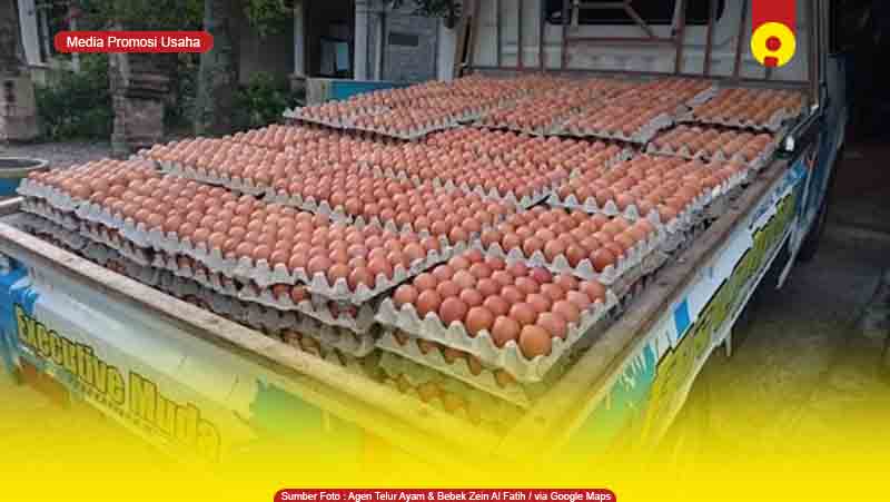 toko supplier agen telur ayam di Palangkaraya