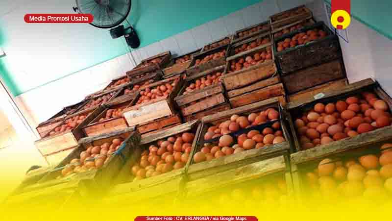 Toko Supplier Agen Telur Ayam di Tegal 