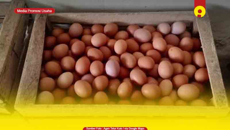 4 Toko Supplier Agen Telur Ayam di Ciamis